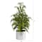 20" Unlit Cedar Pine Artificial Potted Christmas Tree